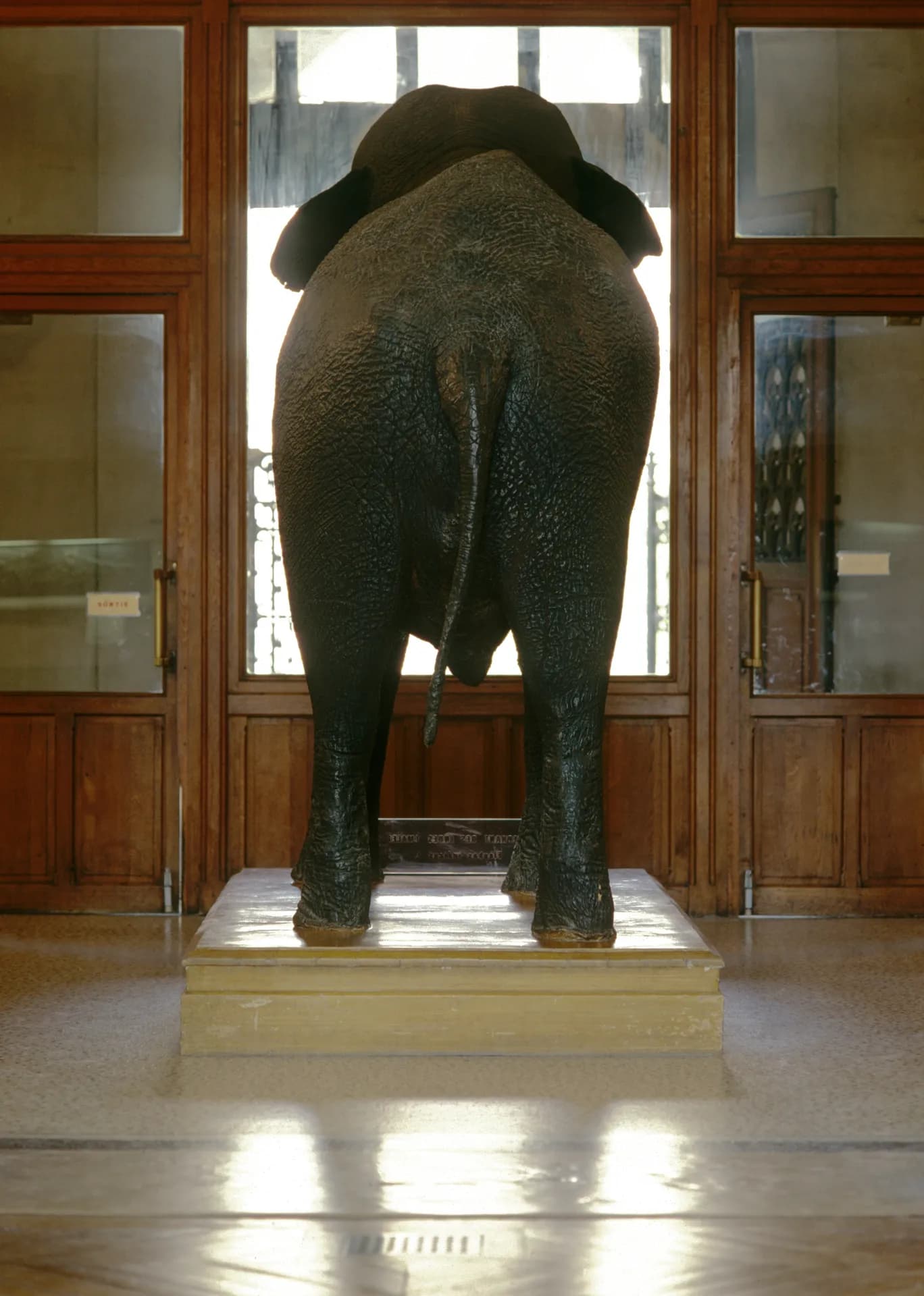 Muséum
