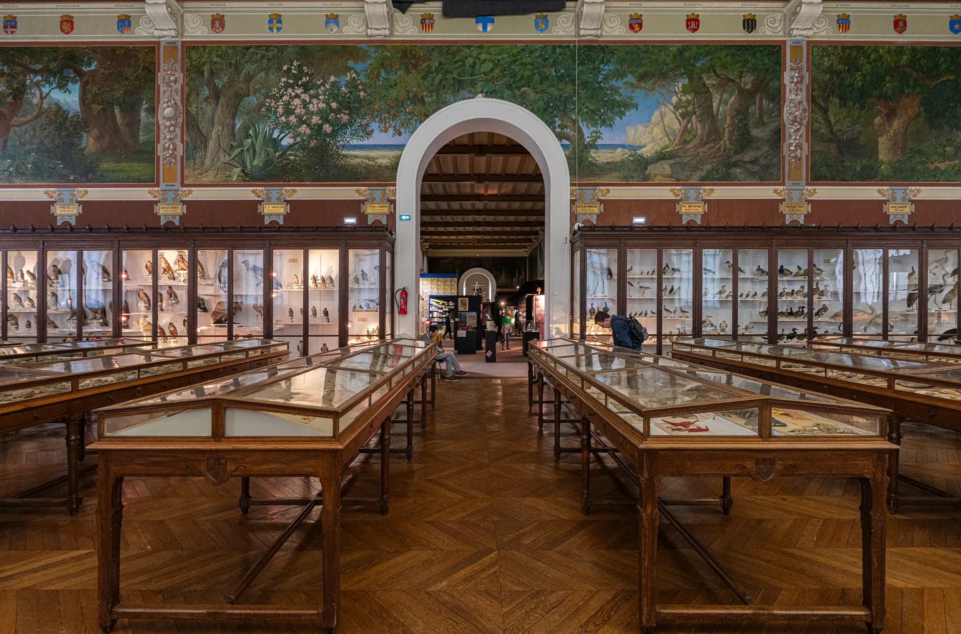 Muséum
