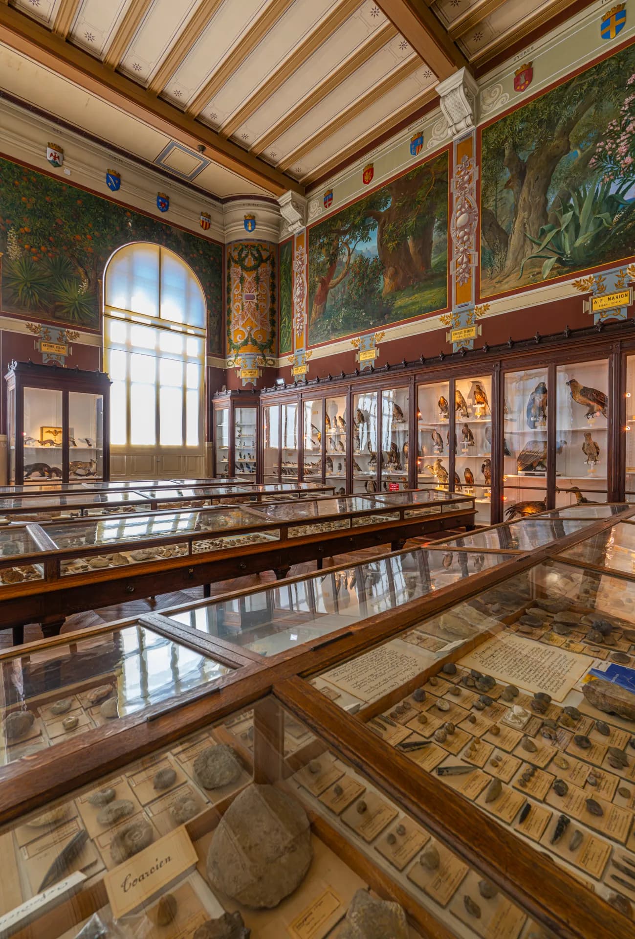 Muséum