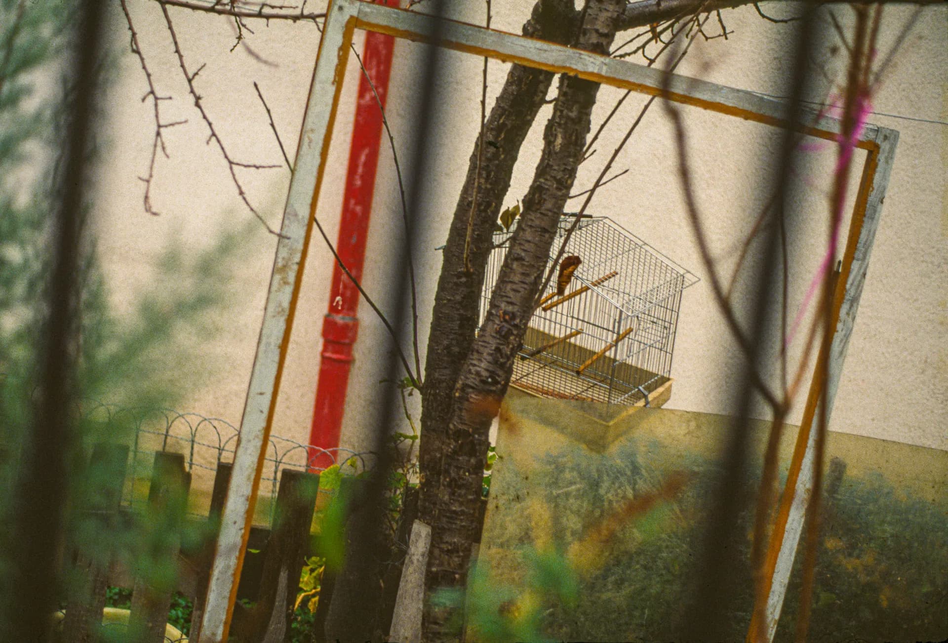 L'ambiguïté des images