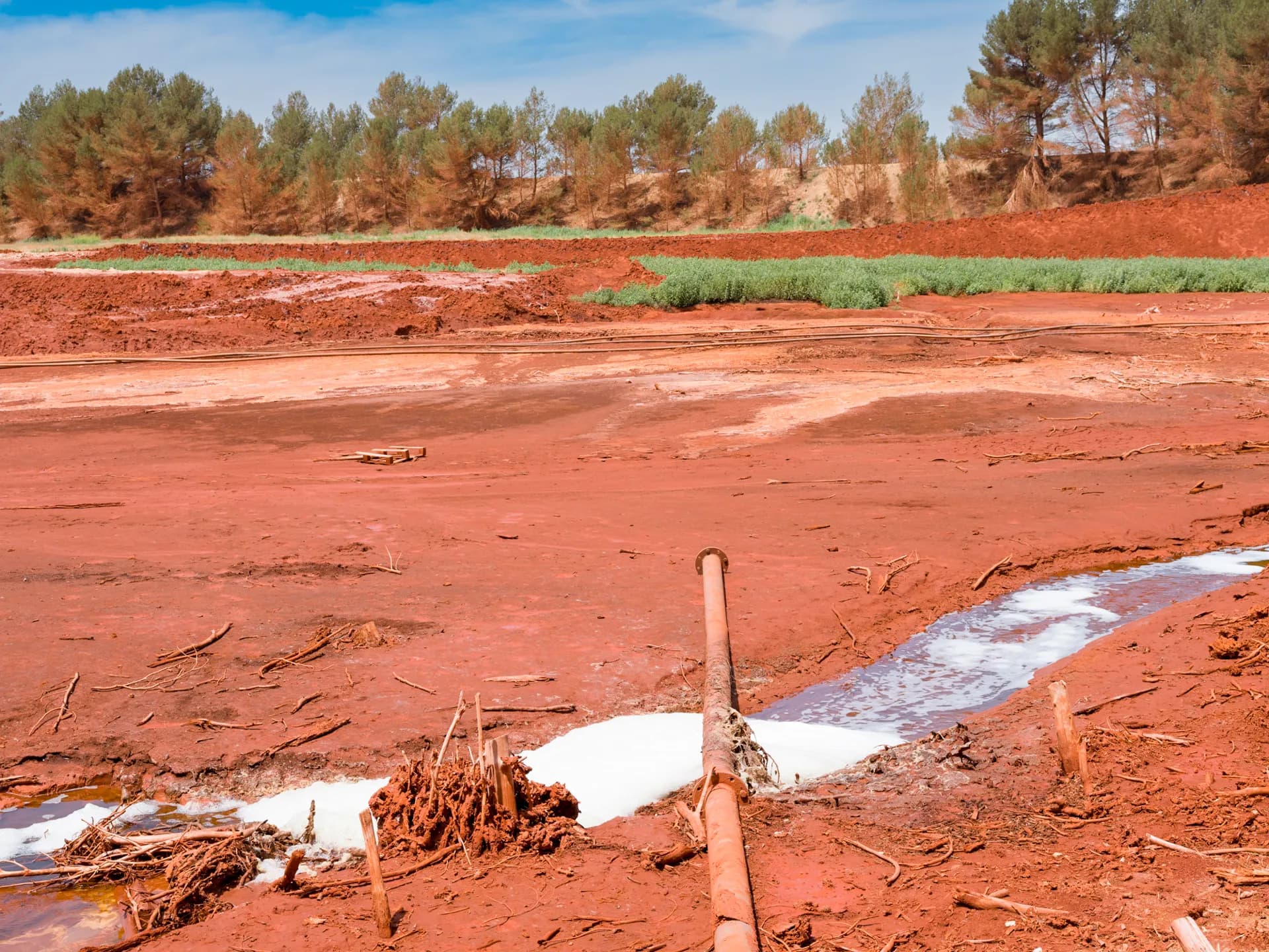 Ecologie en Provence