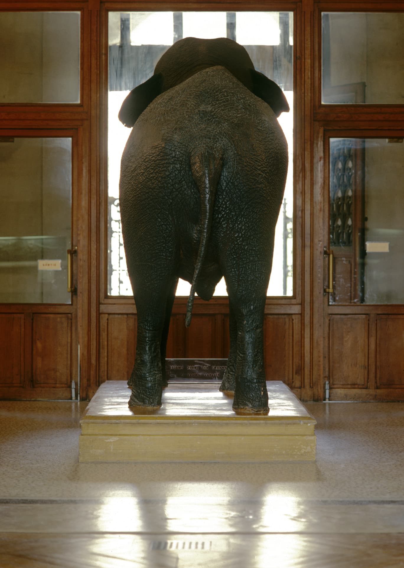 Muséum